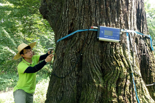 古树名木GPS定位与信息化管理系统开发